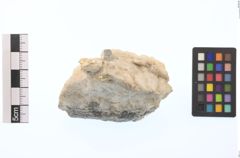 Foto von Gold Gediegen (NHMW-MIN-Aw85)